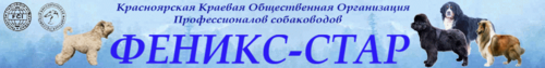 Красноярская общественная организация