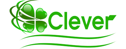 Язык клевером. Школа Клевер. Эмблема школы Клевер. Клевер школа английского. Школа Клевер Дзержинск.